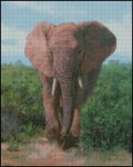 African Elephant - DS (image for) African Elephant - DS